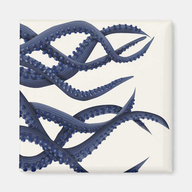 Aimant Tentacles géants de pieuvre (Devant)