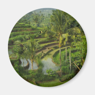 Aimant Terrasse Ricefield à Bali