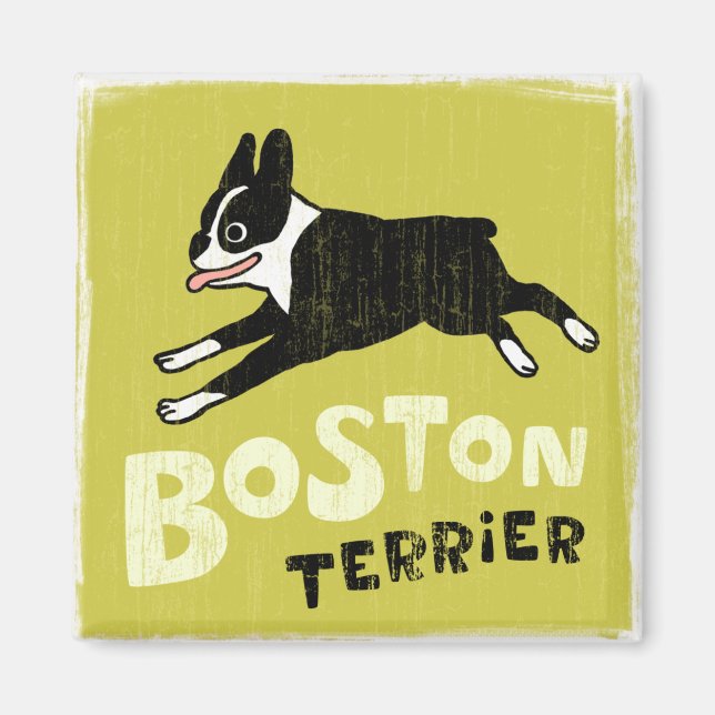 Aimant Terrier de Boston (Devant)