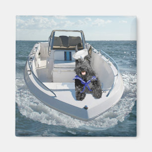 Aimant Terrier écossais sur le bateau