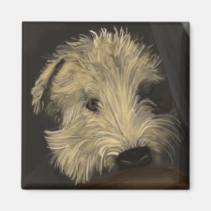 Aimant Terrier roux