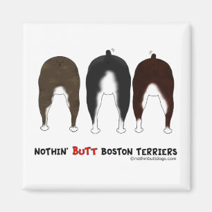 Aimant Terriers de Nothin' Butt Boston