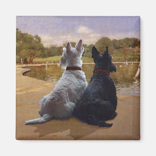 Aimant Terriers écossais roux et noirs (Devant)