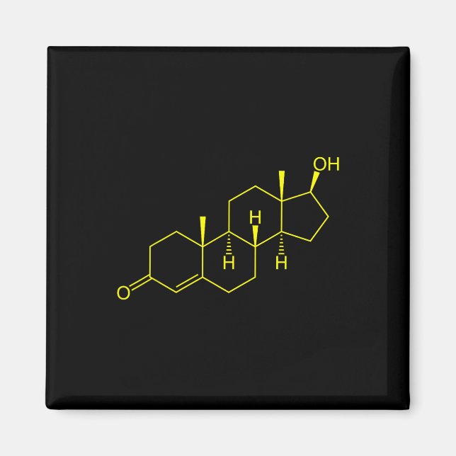 Aimant Testostérone Molecule Biologie Science Constructio (Devant)