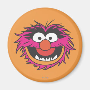 Aimant Tête d'animal