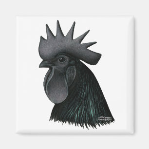 Aimant Tête de coq d'Ayam Cemani
