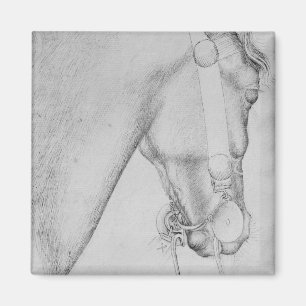 Aimant Tête d'un cheval, le de l'album de Vallardi