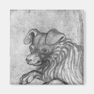 Aimant Tête d'un chien, le de l'album de Vallardi