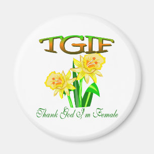 AIMANT TGIF