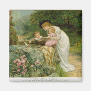 Aimant The Coming Nelson, from the Pears Annual, 1901