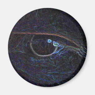 Aimant The eye