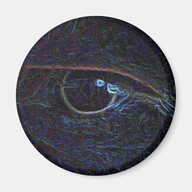 Aimant The eye (Devant)