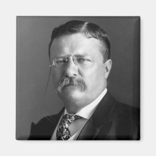 Aimant Theodore Roosevelt Teddy Président républicain