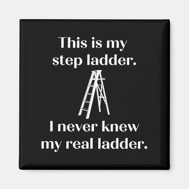 Aimant This Is My Step Ladder I Never Knew My Real Ladder (Devant)