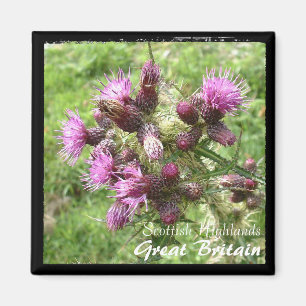 Aimant Thistle, Scottish Highlands, Royaume-Uni (Magnet)