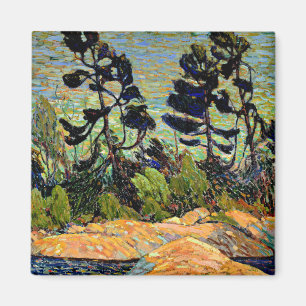 Aimant Thomson - Bying Inlet, Baie Georgienne