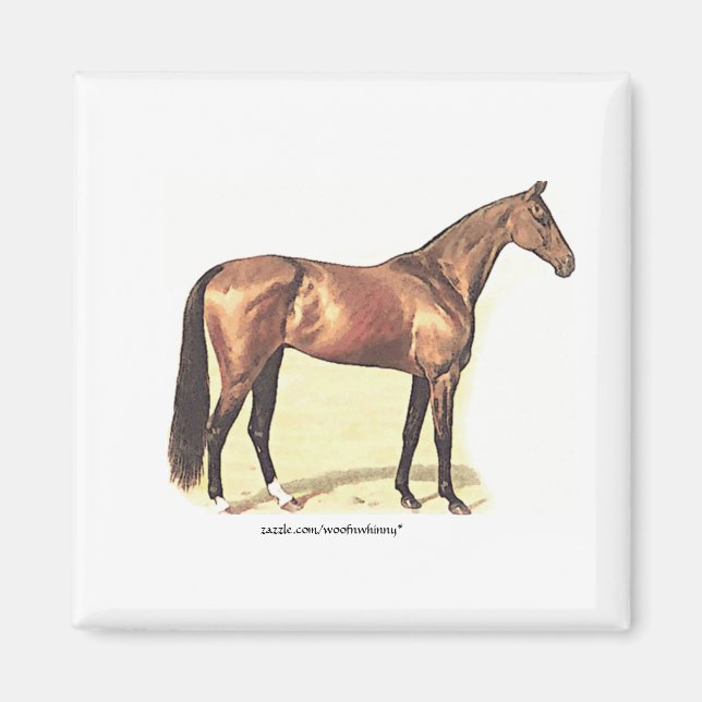 Aimant Thoroughbred (Devant)