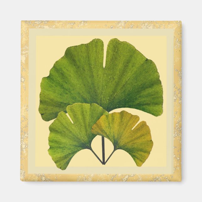 Aimant Three Arts and Crafts Ginkgo Leaves (Devant)