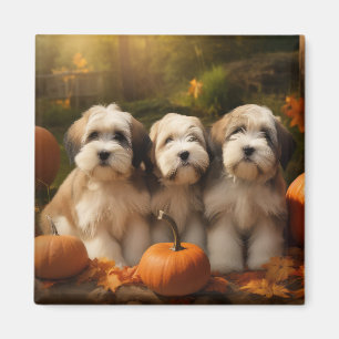 Aimant Tibétain Terrier Chiot Automne Citrouille délice