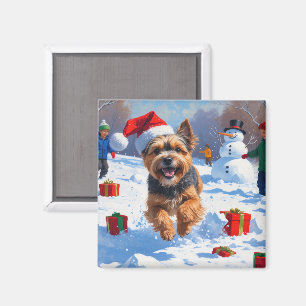 Aimant Tibetan Terrier courant dans la neige avec un chap