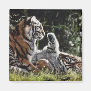 Aimant Tiger cubs playing in the woods