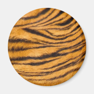Aimant Tiger Grilles Fourrure Noir et Orange Personnalise