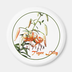 Aimant Tiger Lilly