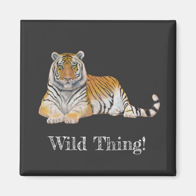 Aimant Tigre (Devant)