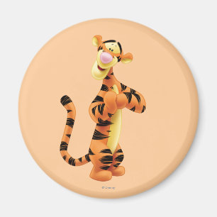 Aimant Tigre 1