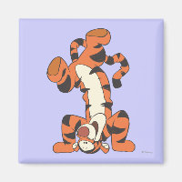 Tigre 4