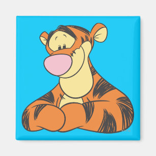 Aimant Tigre 5