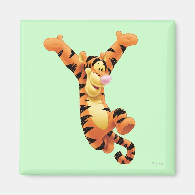 Aimant Tigre 7 (Devant)