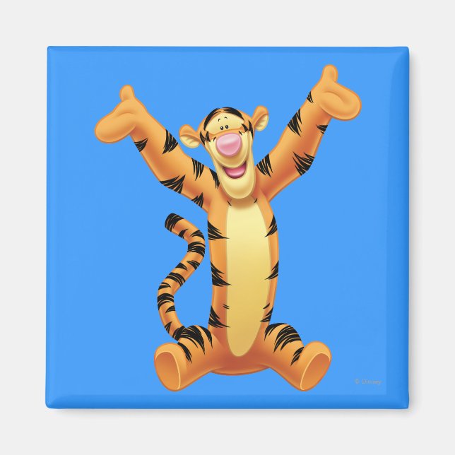 Aimant Tigre 8 (Devant)