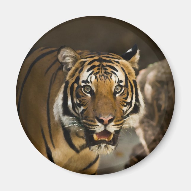 Aimant Tigre de Sibérie (Devant)