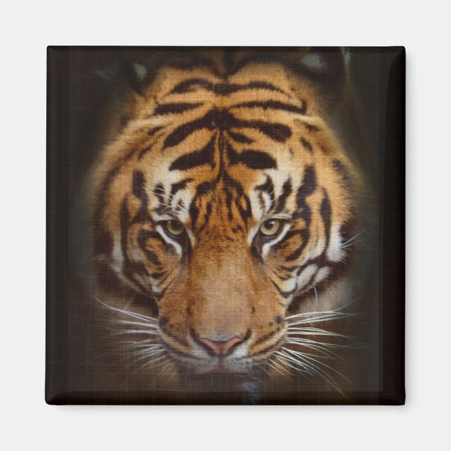 Aimant Tigre de Sumatra Faune Big Cat Lover Photo (Devant)