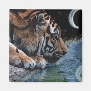 Aimant Tigre d'Imaginaire et lune