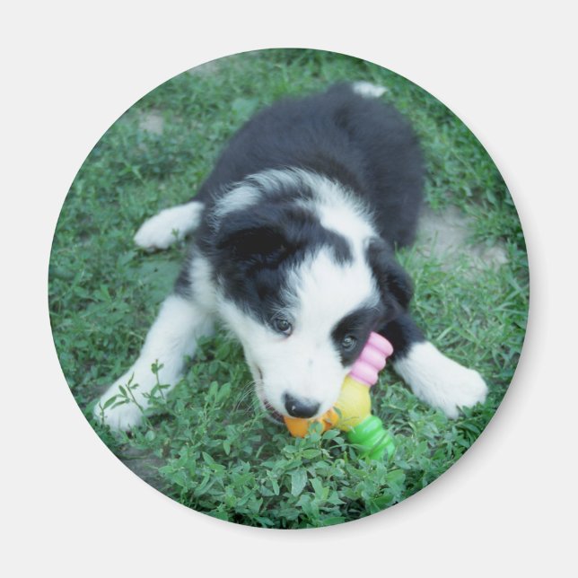 Aimant Toby3 (Devant)