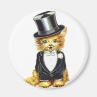 Toilettage de chat