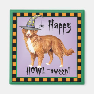 Aimant Toller Witch