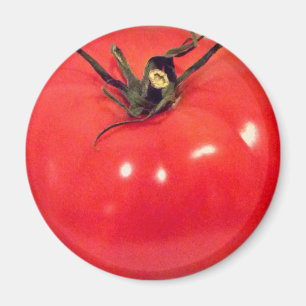Aimant Tomato Beefsteak 4Marco