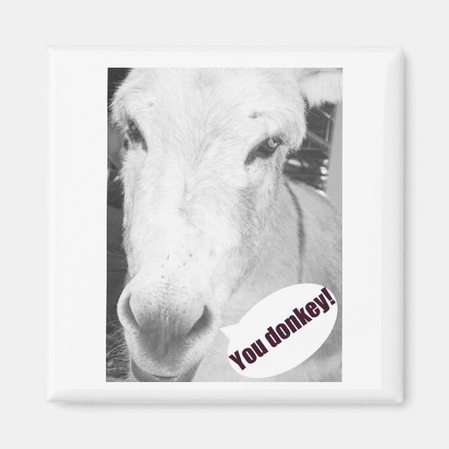 Aimant Ton âne (Devant)