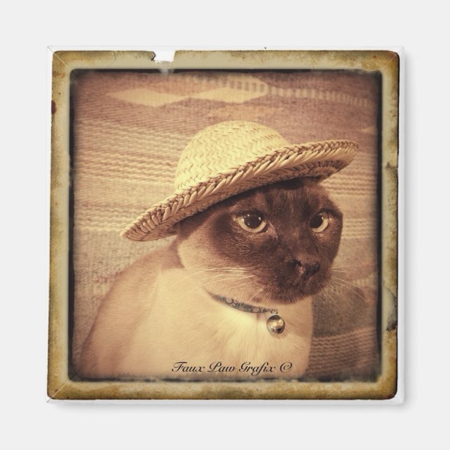 Aimant Tonkinese Gato (Devant)