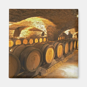 Aimant Tonneaux de chêne dans la cave au Domaine Comte