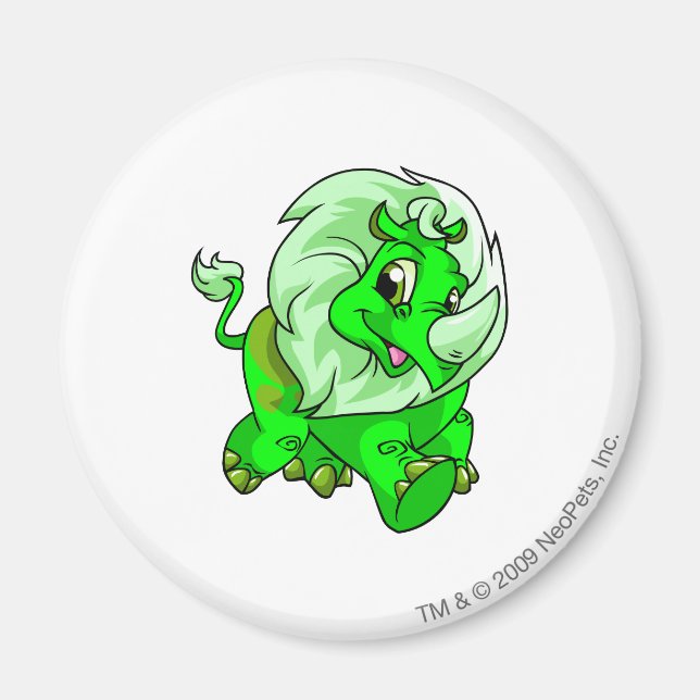 Aimant Tonu brillant (Devant)