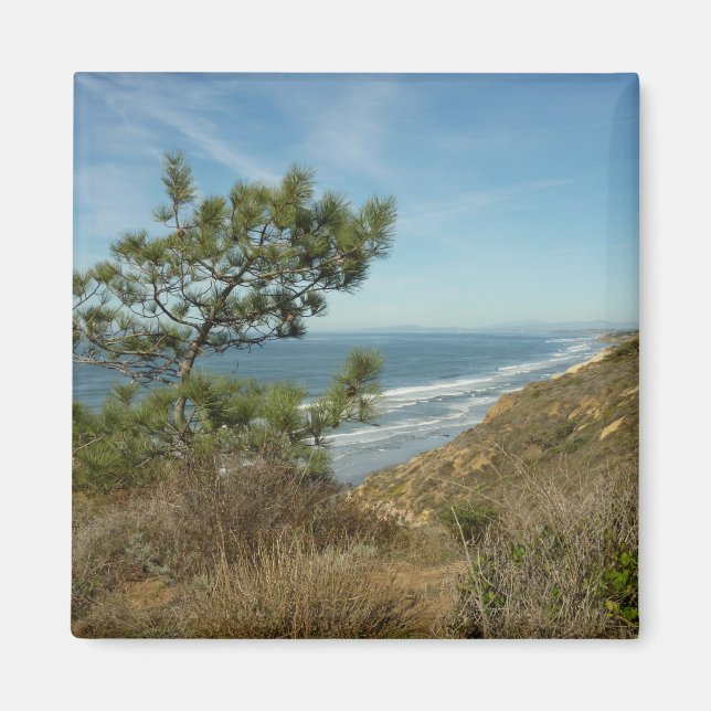 Aimant Torrey Pine and California Coastline Landscape (Devant)