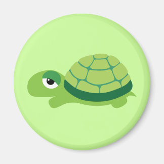 Aimant tortue