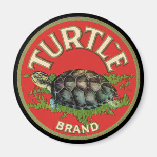 Aimant Tortue