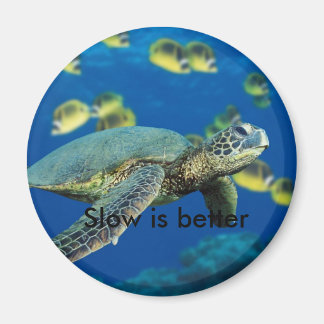 Aimant Tortue verte, Lente mieux