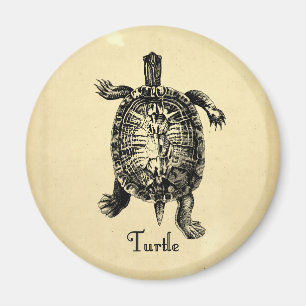 Aimant TORTUE vintage