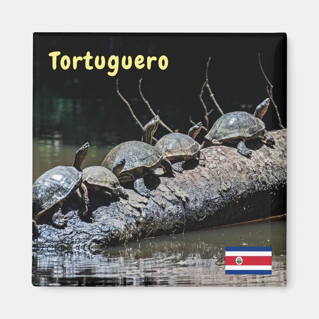 Aimant Tortues au Parc national de Tortuguero - Costa Ric (Devant)